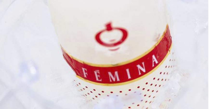 portal_femina_V.jpg